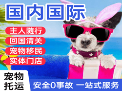 昆明长水航空快递国际宠物托运 【国